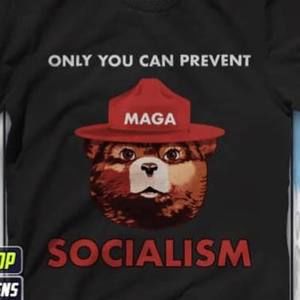 Meet your Posher, Vincent